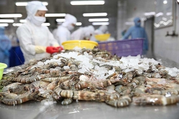 160 tonnes of shrimp exports leave port to eu us and japan